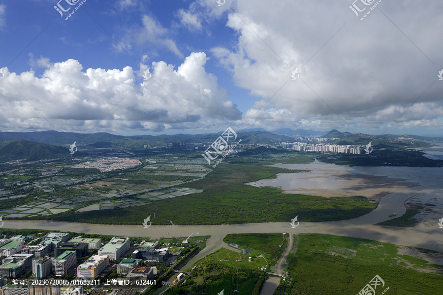 深圳湾红树林湿地风光