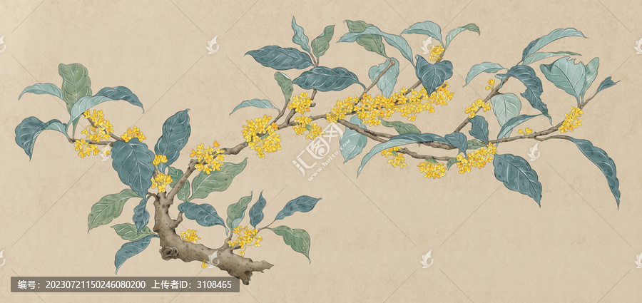 桂花工筆畫