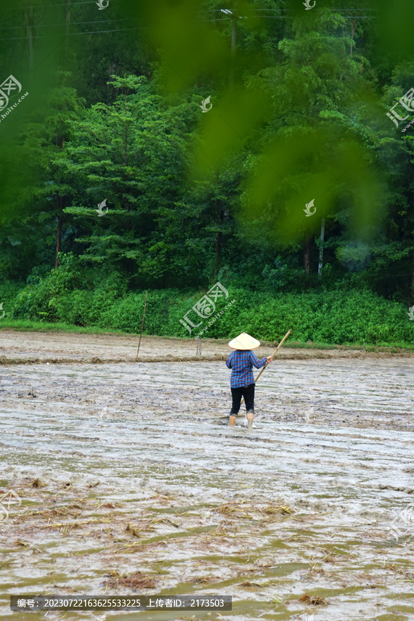 农民劳作