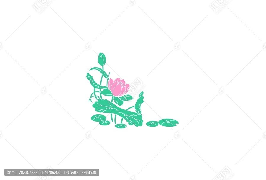 荷花