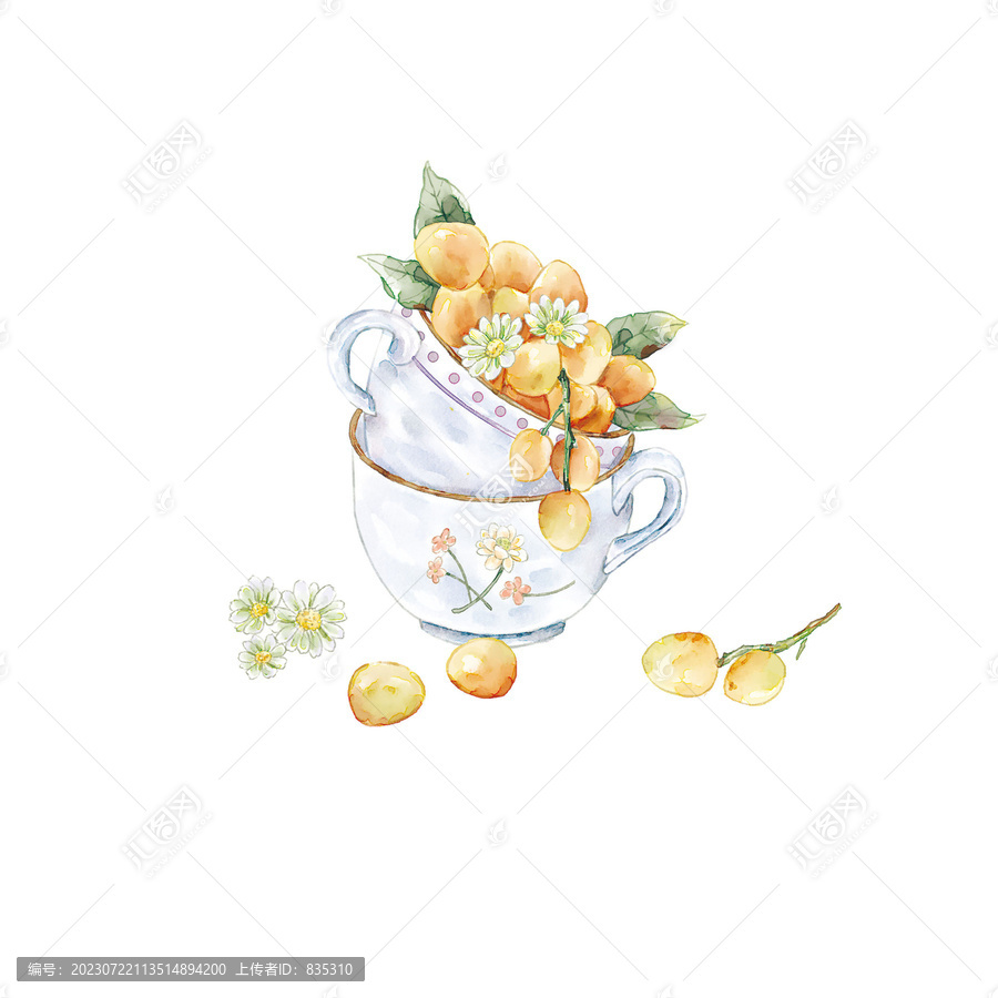 手繪黃皮果水果插畫(huà)
