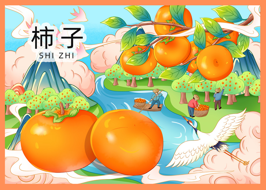 柿子包裝插畫(huà)