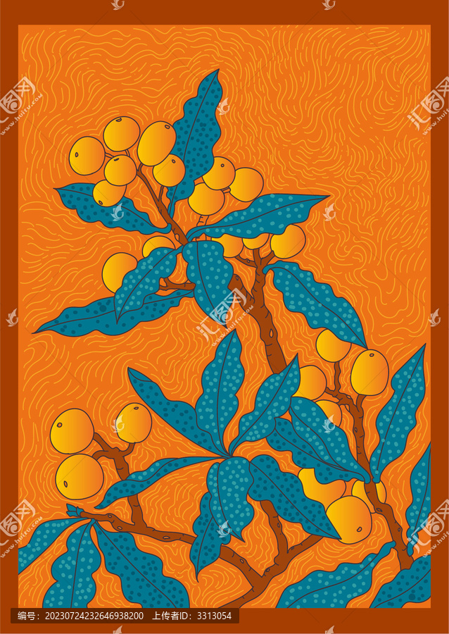枇杷插畫
