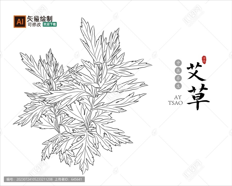 線描艾草