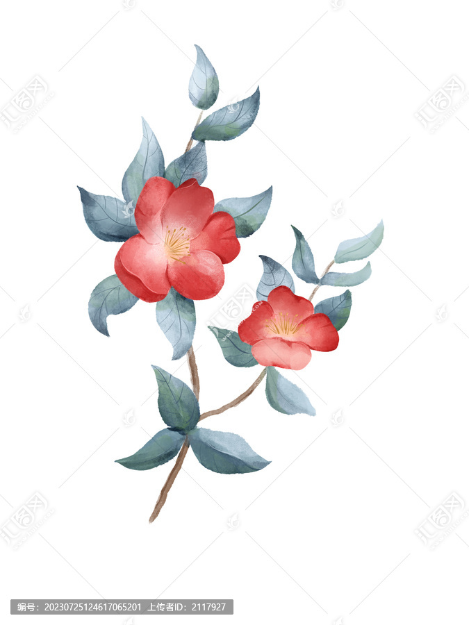 水彩手繪山茶花