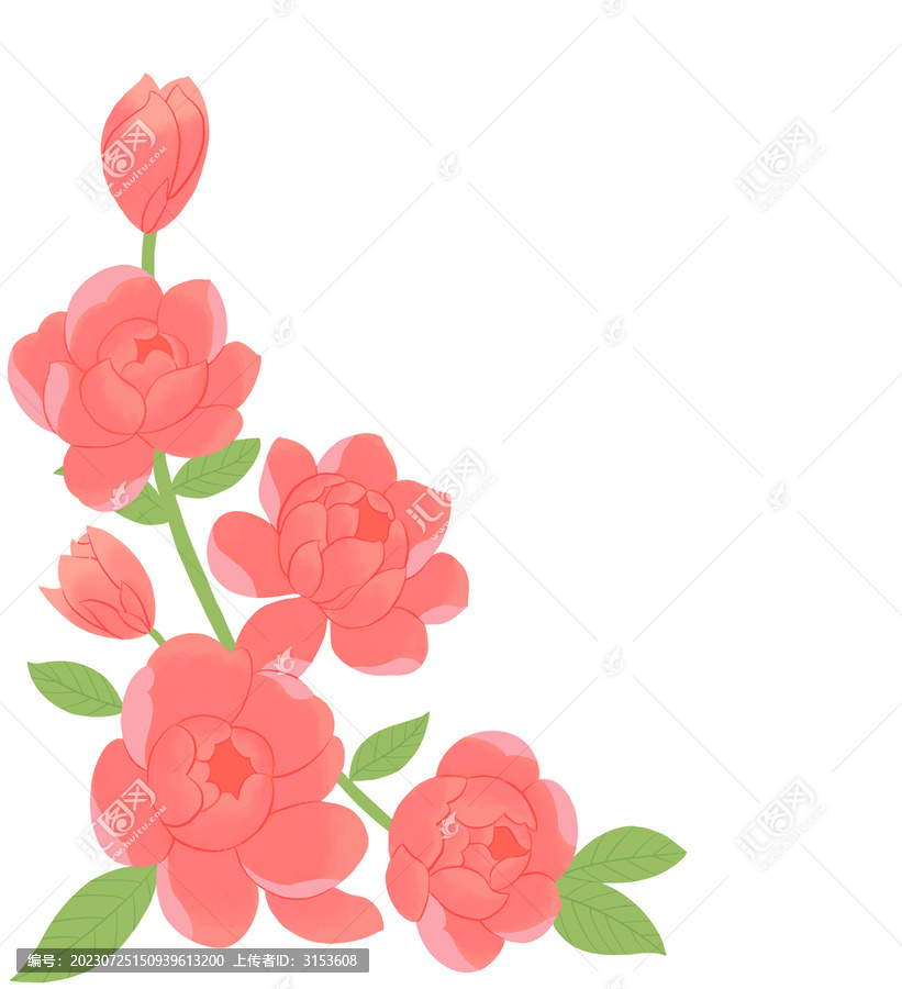 薔薇