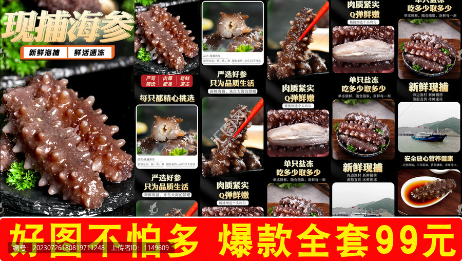 現(xiàn)捕海參詳情頁