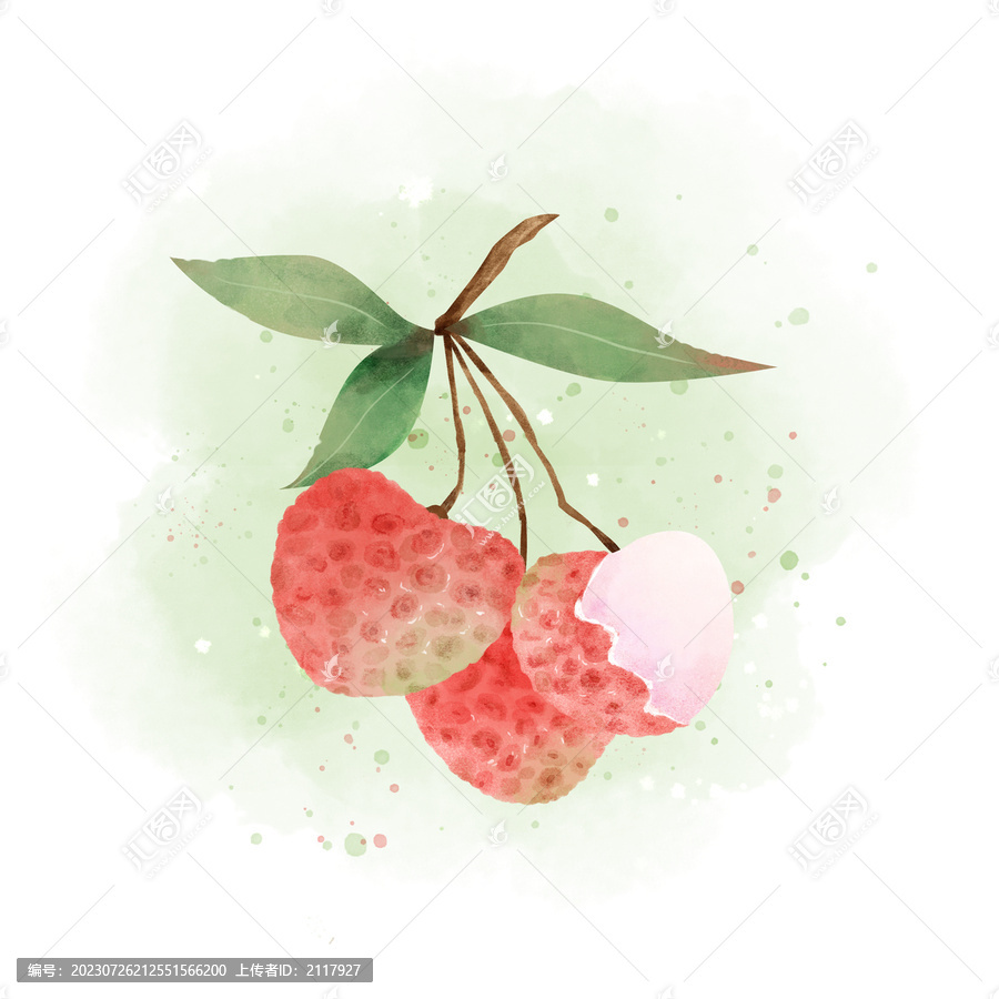 水彩水果荔枝