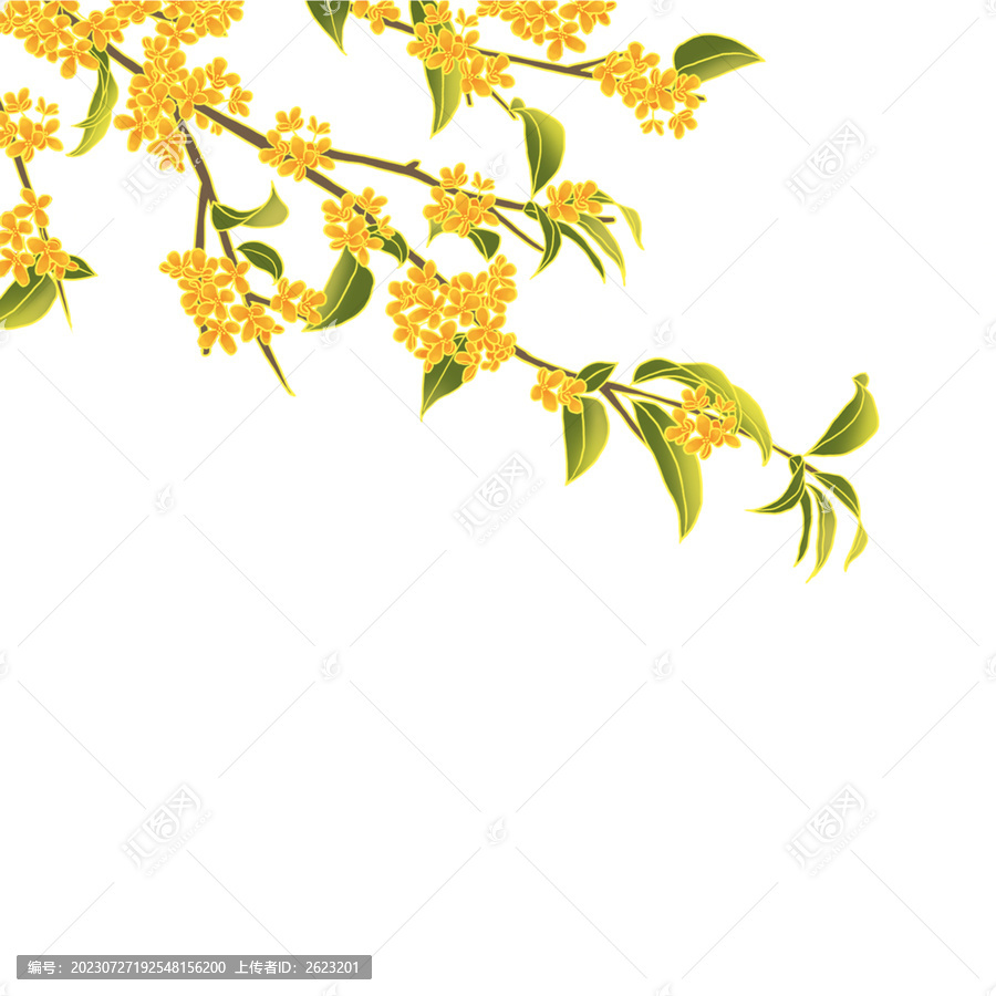 國風(fēng)手繪桂花樹免摳素材