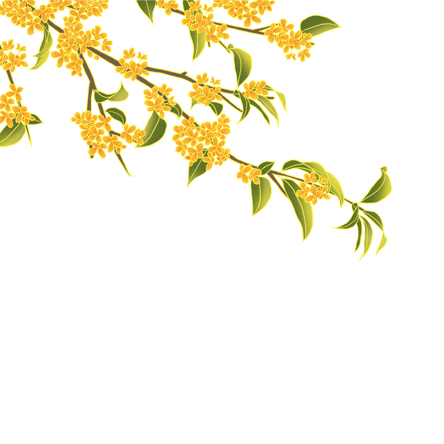 國風(fēng)手繪桂花樹免摳素材