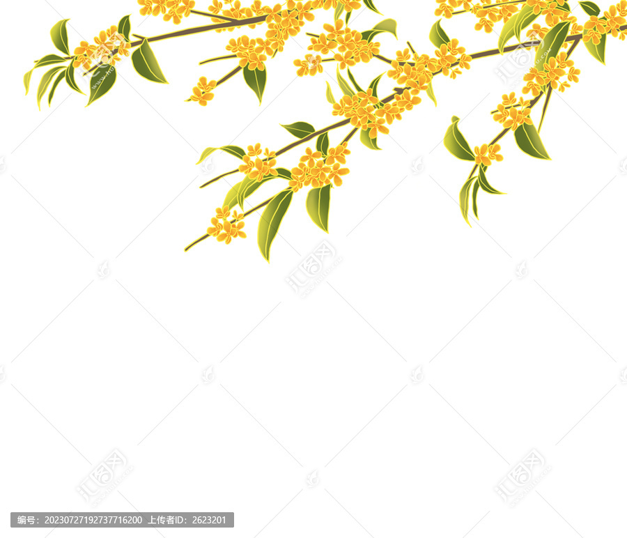 國風(fēng)手繪桂花樹免摳素材