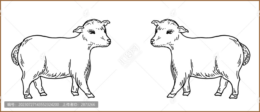 羊插畫