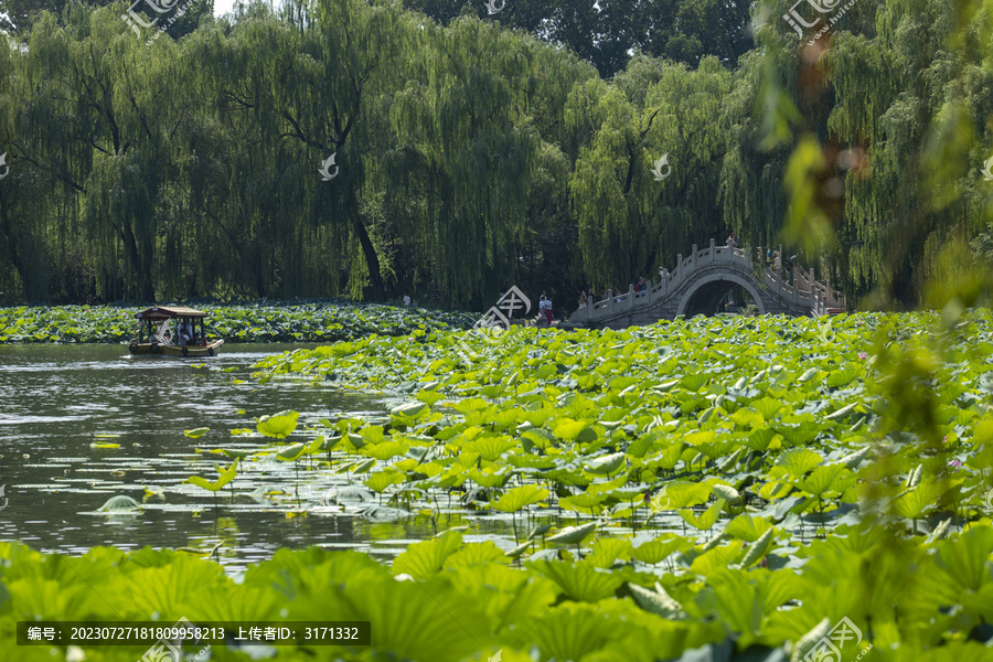 圆明园夏天风景