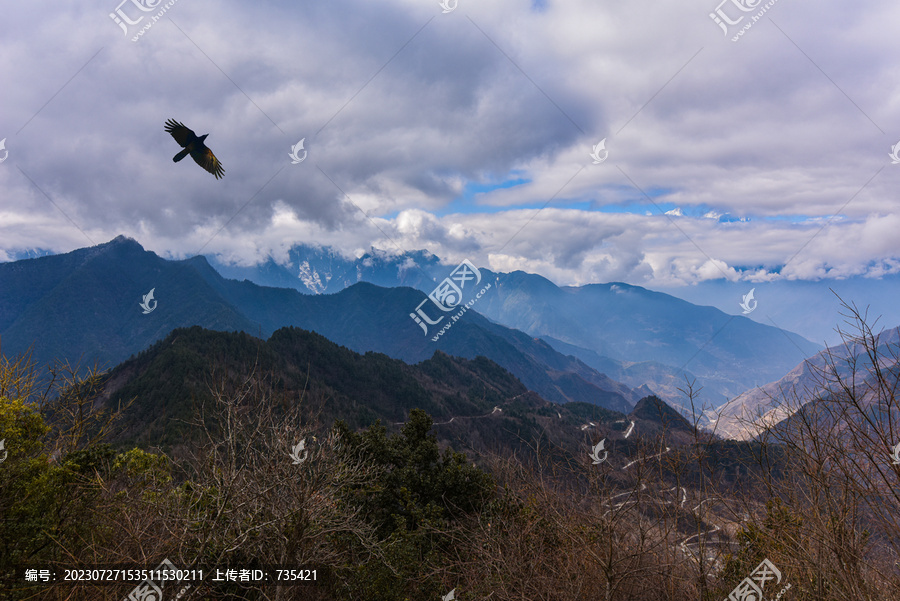 苍鹰群山