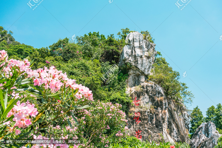 夹竹桃花和七星岩石刻