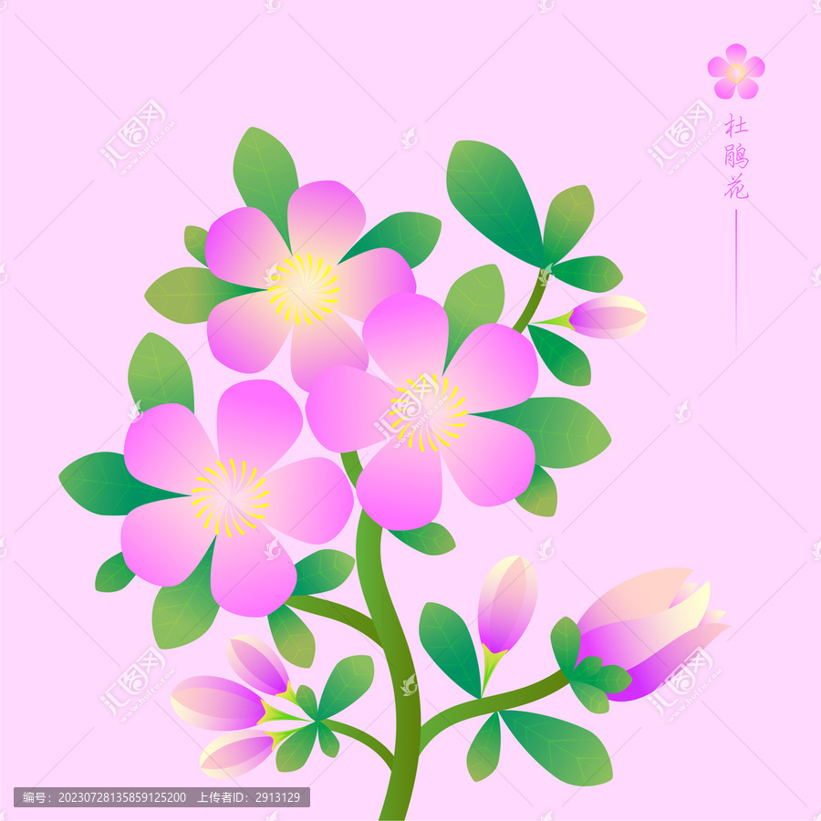 植物花卉杜鵑花