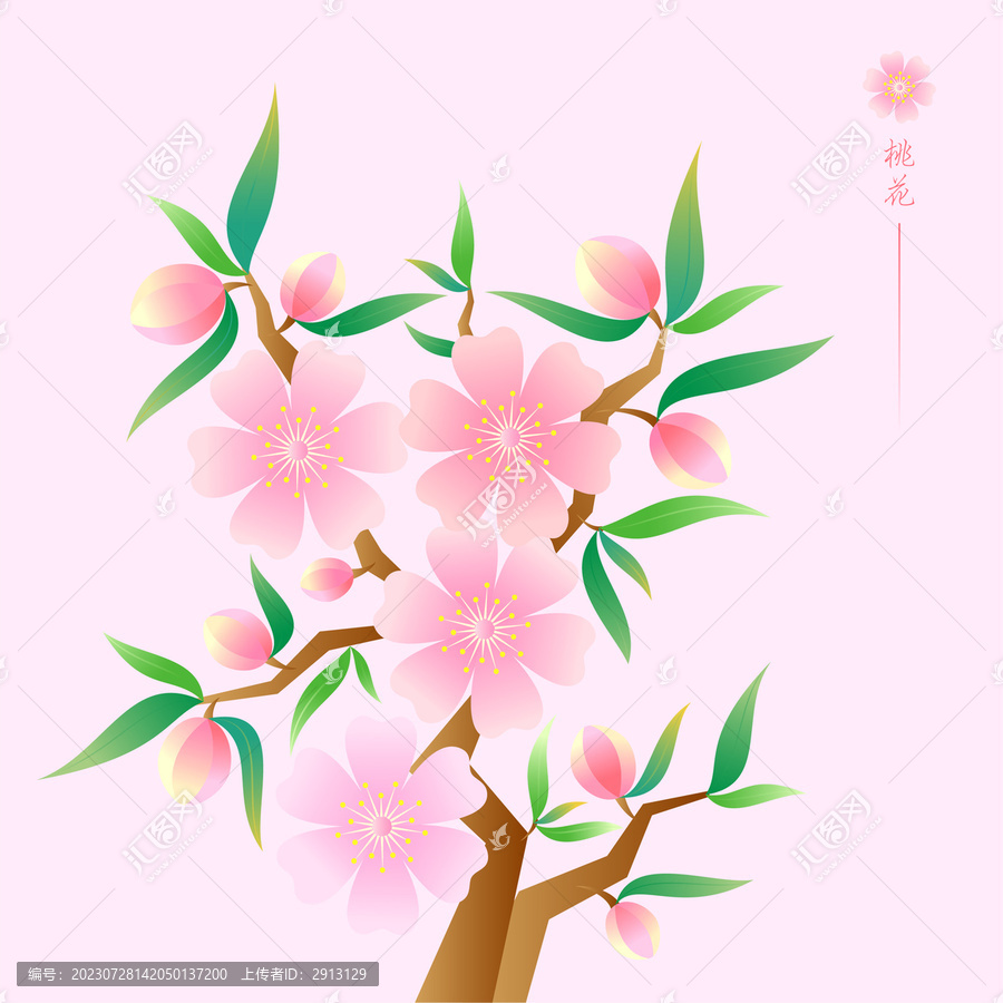 植物花卉桃花
