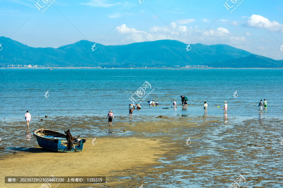 海陵岛赶海