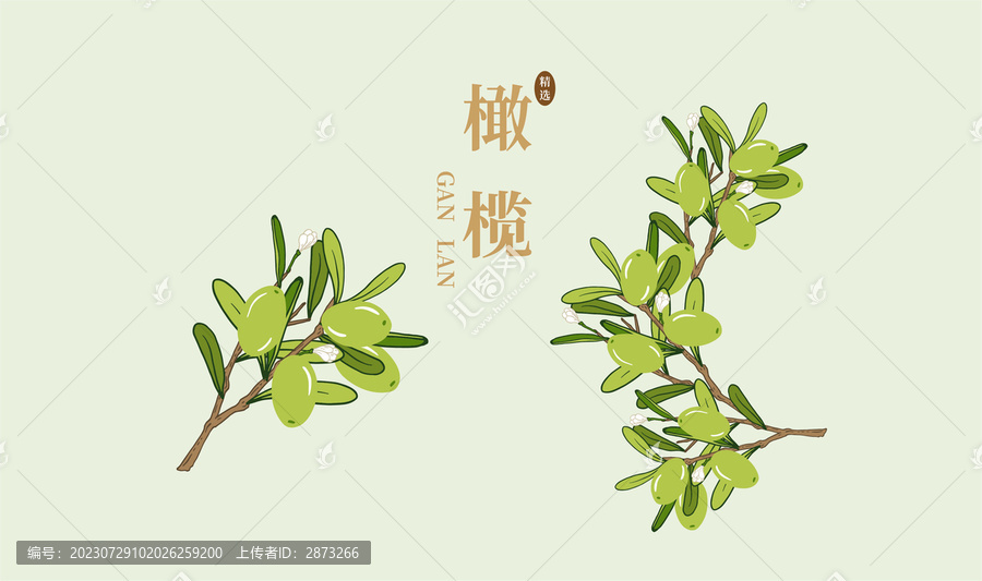 橄欖