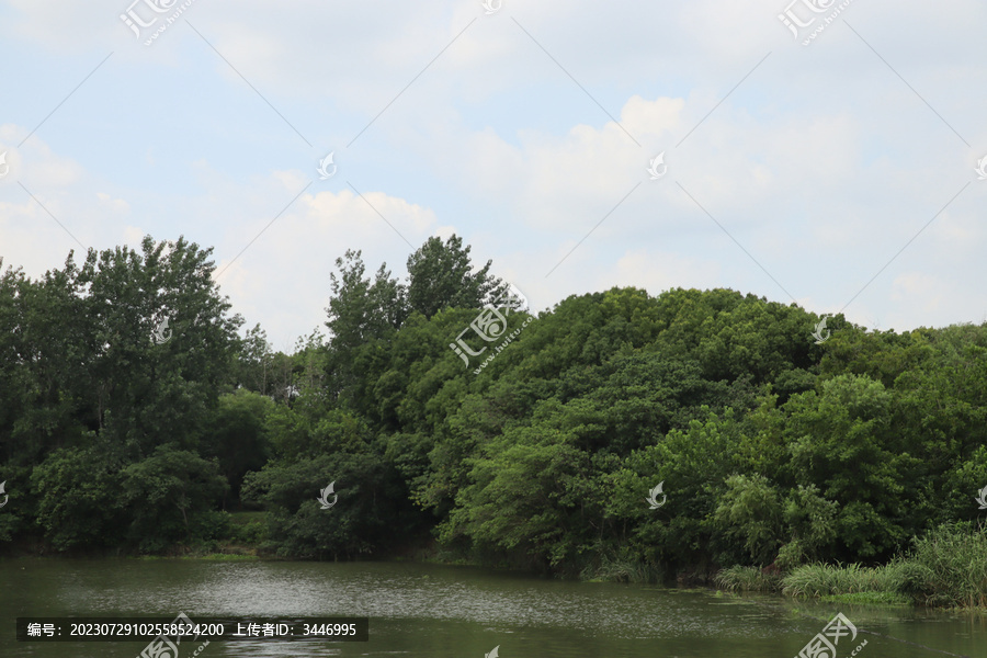 丁塘河湿地公园湖泊一角