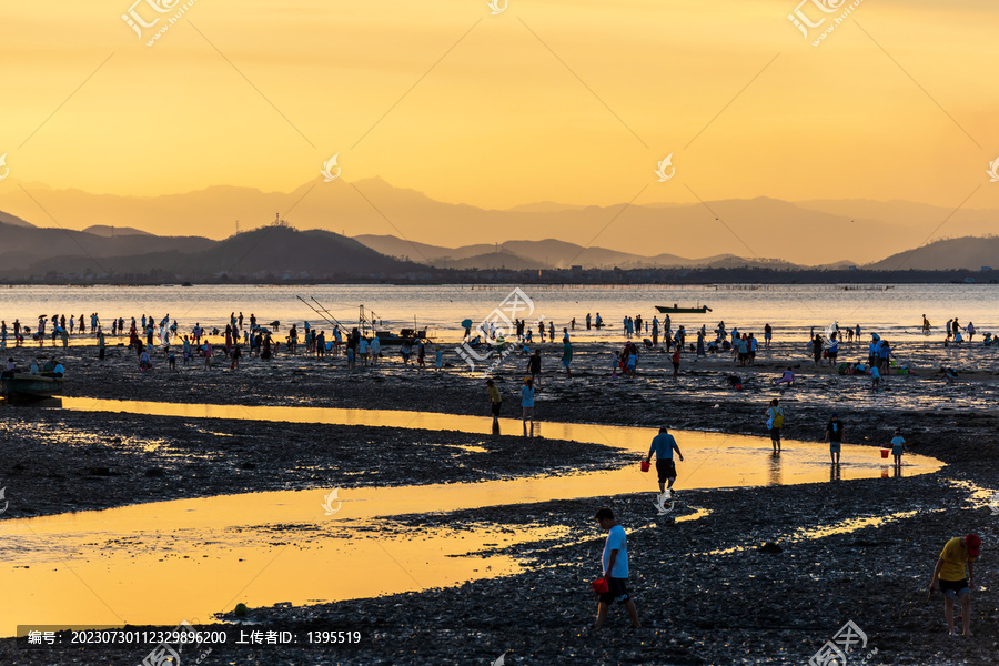 海陵岛赶海