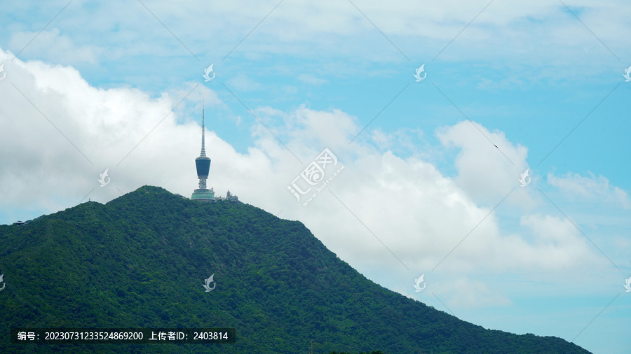 深圳梧桐山电视塔老鹰飞翔