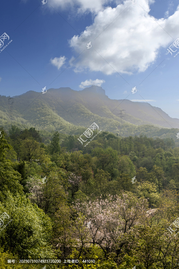 高山峡谷