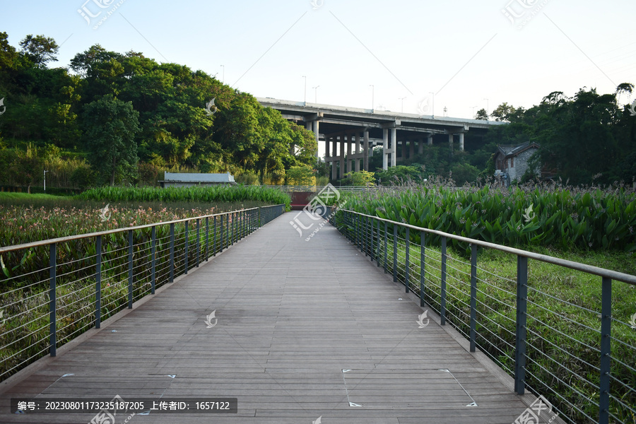 湿地长桥