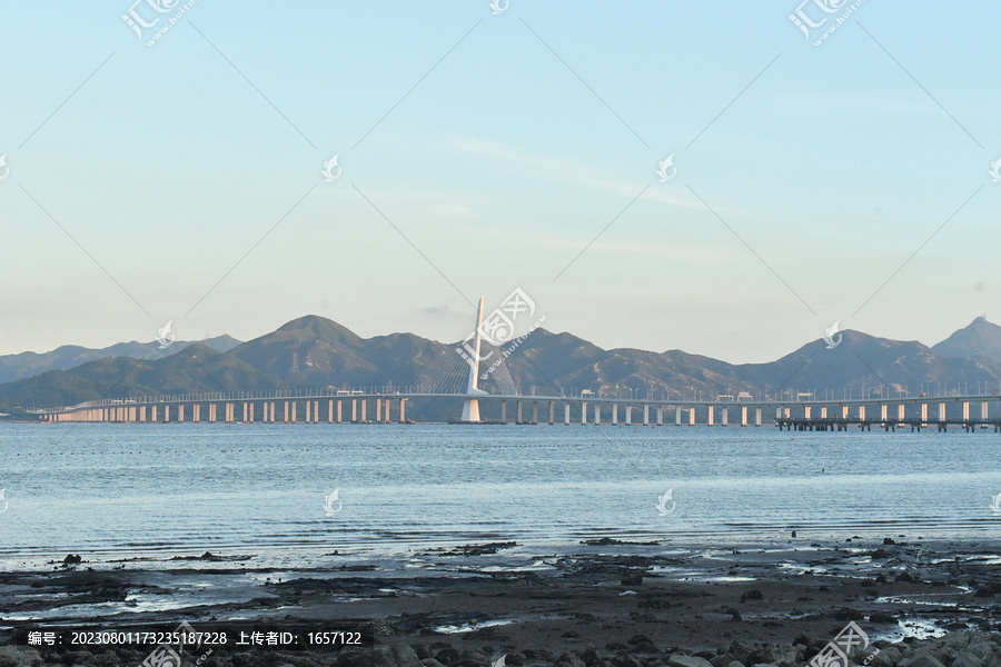 深圳湾通香港大桥