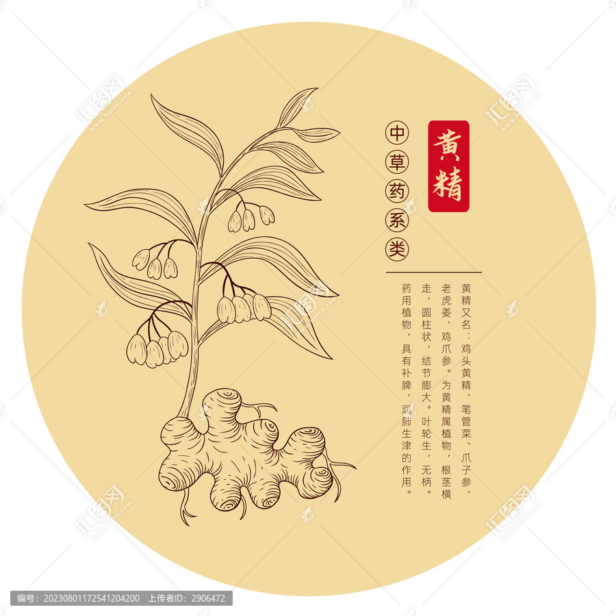 黃精插畫版畫手繪