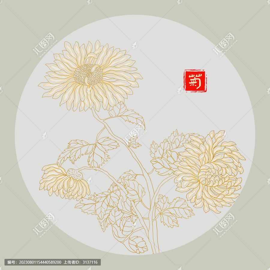 菊花線描
