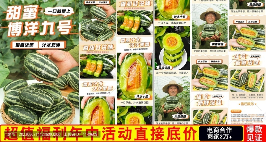 博洋9號(hào)甜瓜詳情頁