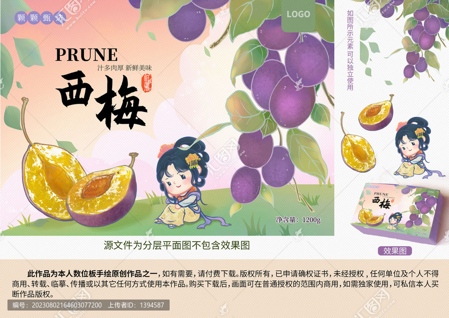 手繪西梅插畫