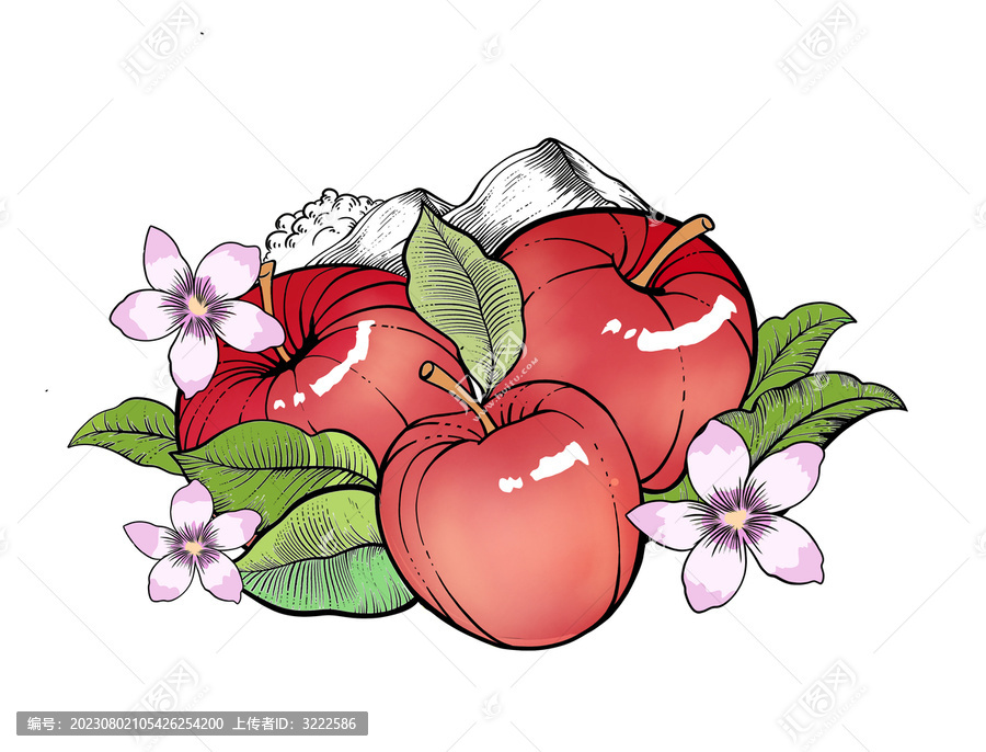 蘋果包裝插畫