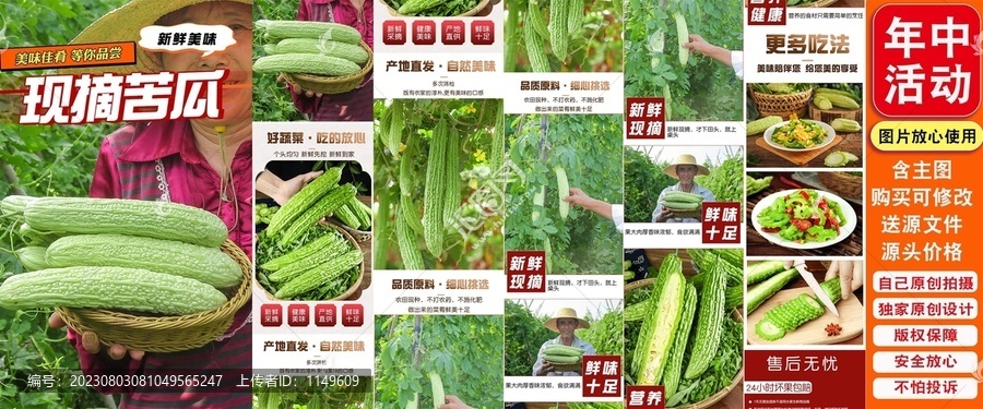 現(xiàn)摘苦瓜詳情頁