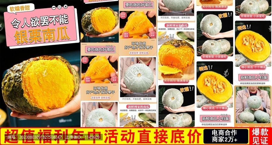 銀栗南瓜詳情