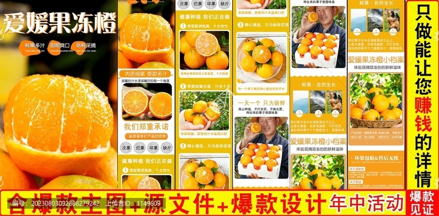 愛媛果凍橙詳情