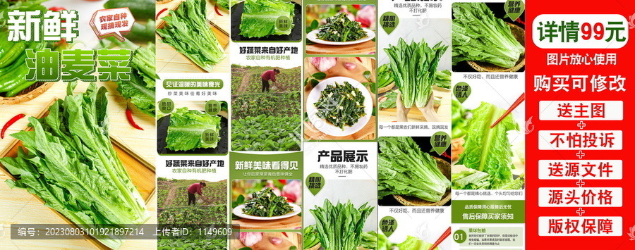 油麥菜詳情頁(yè)