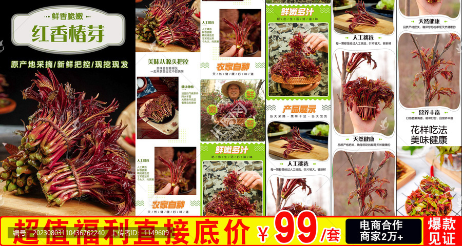 紅香椿芽詳情