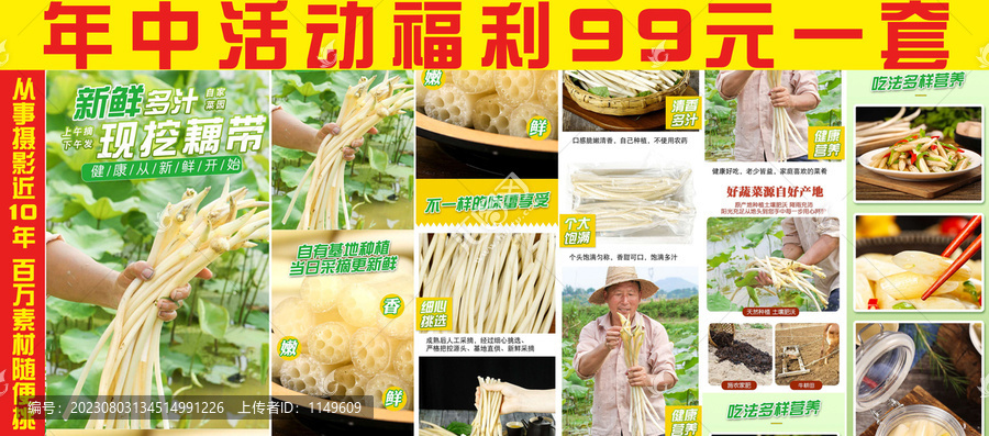現(xiàn)挖藕帶詳情頁