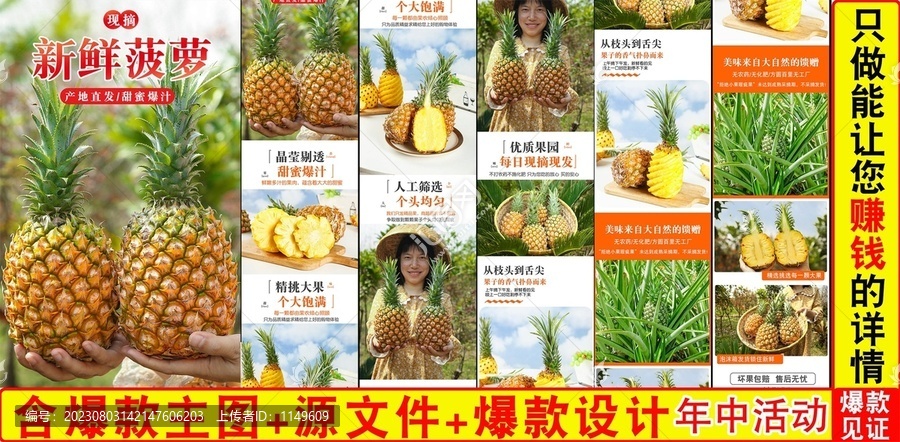 新鮮菠蘿詳情