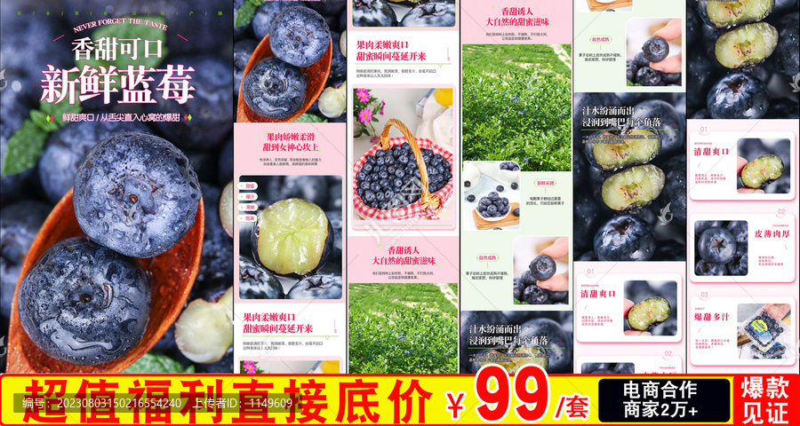 新鮮藍(lán)莓詳情頁
