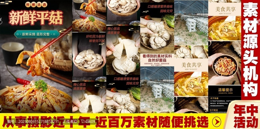 平菇詳情頁