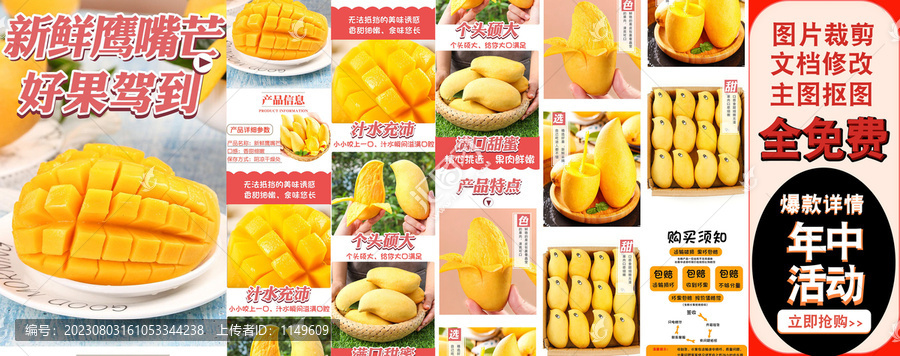 緬甸鷹嘴芒詳情