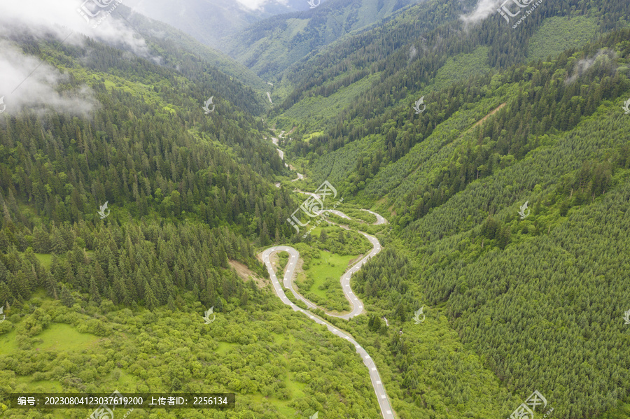 盘山公路