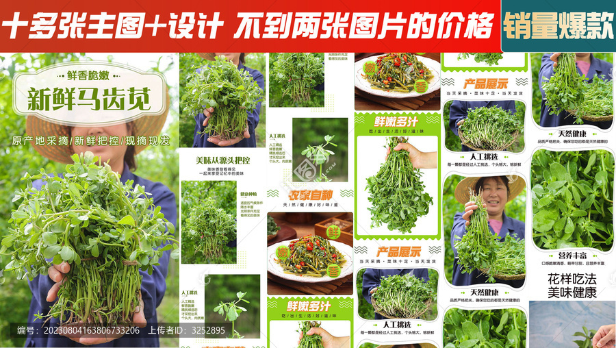 馬齒莧詳情頁