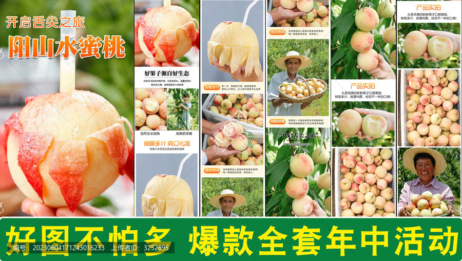 陽山水蜜桃詳情