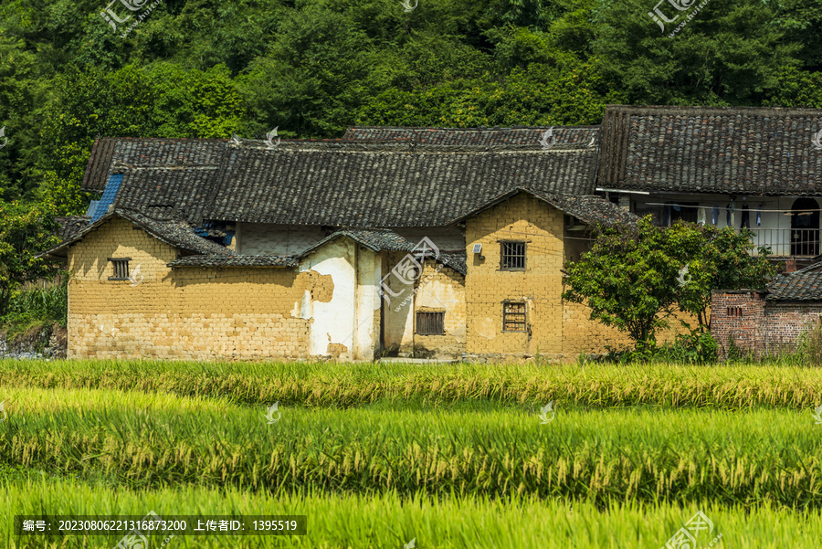 南方农村泥砖瓦房