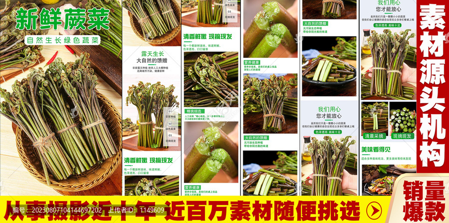 蕨菜詳情頁
