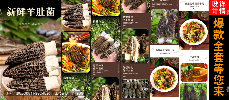 新鮮羊肚菌詳情頁